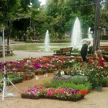 Santa Barbara's Cute